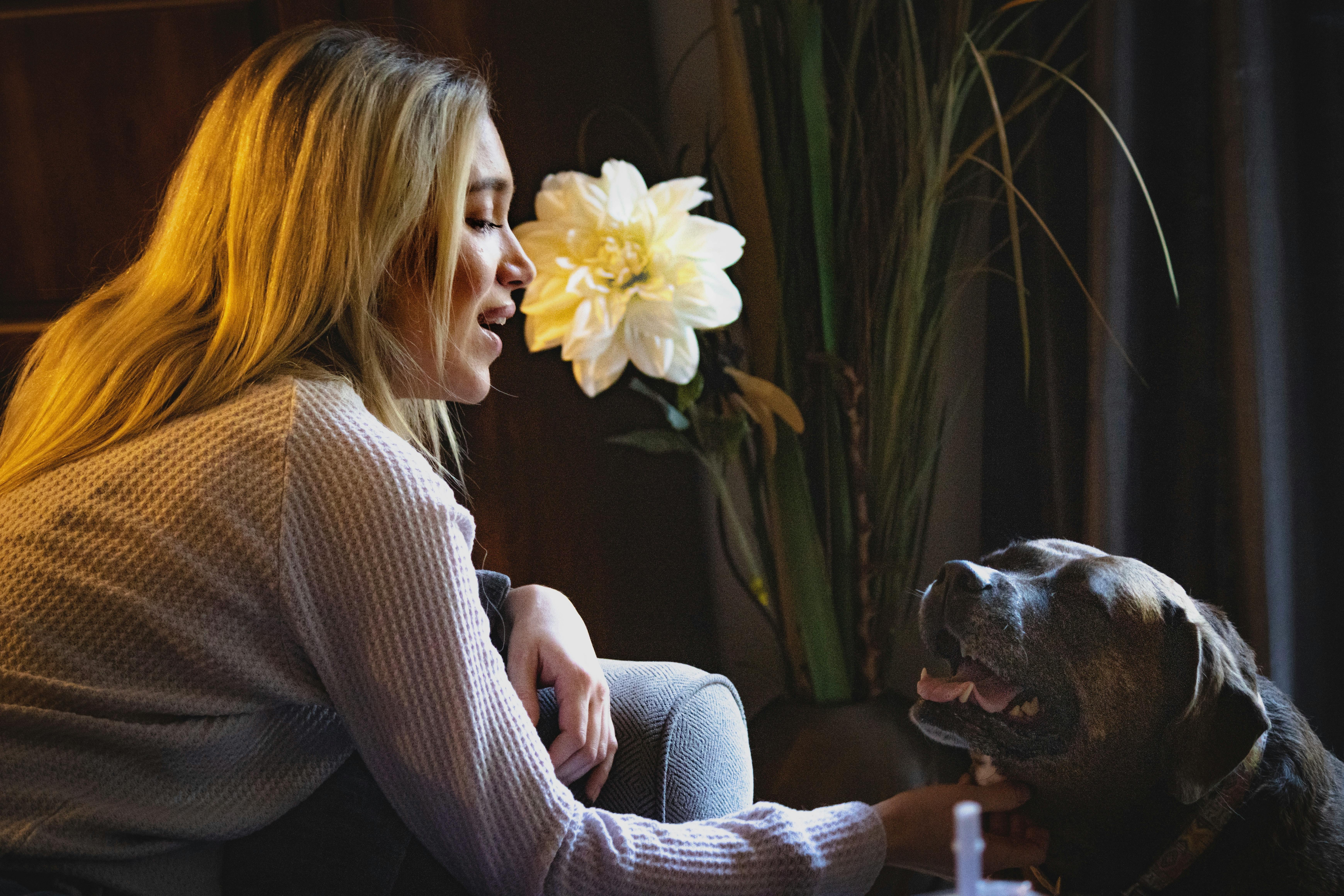 Smart Ways to Enhance Your Talking Parrot Experience in 2025