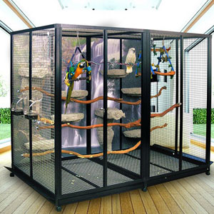 Effective Ways to Choose the Best Parrot Cages for Your Birds in 2025