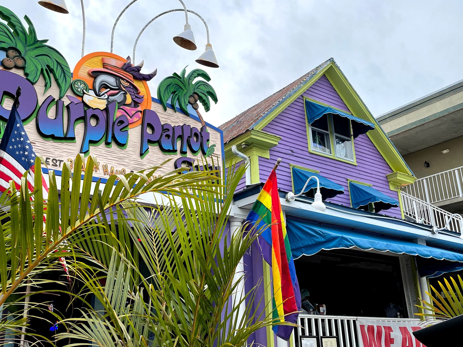 Purple Parrot in Rehoboth Beach