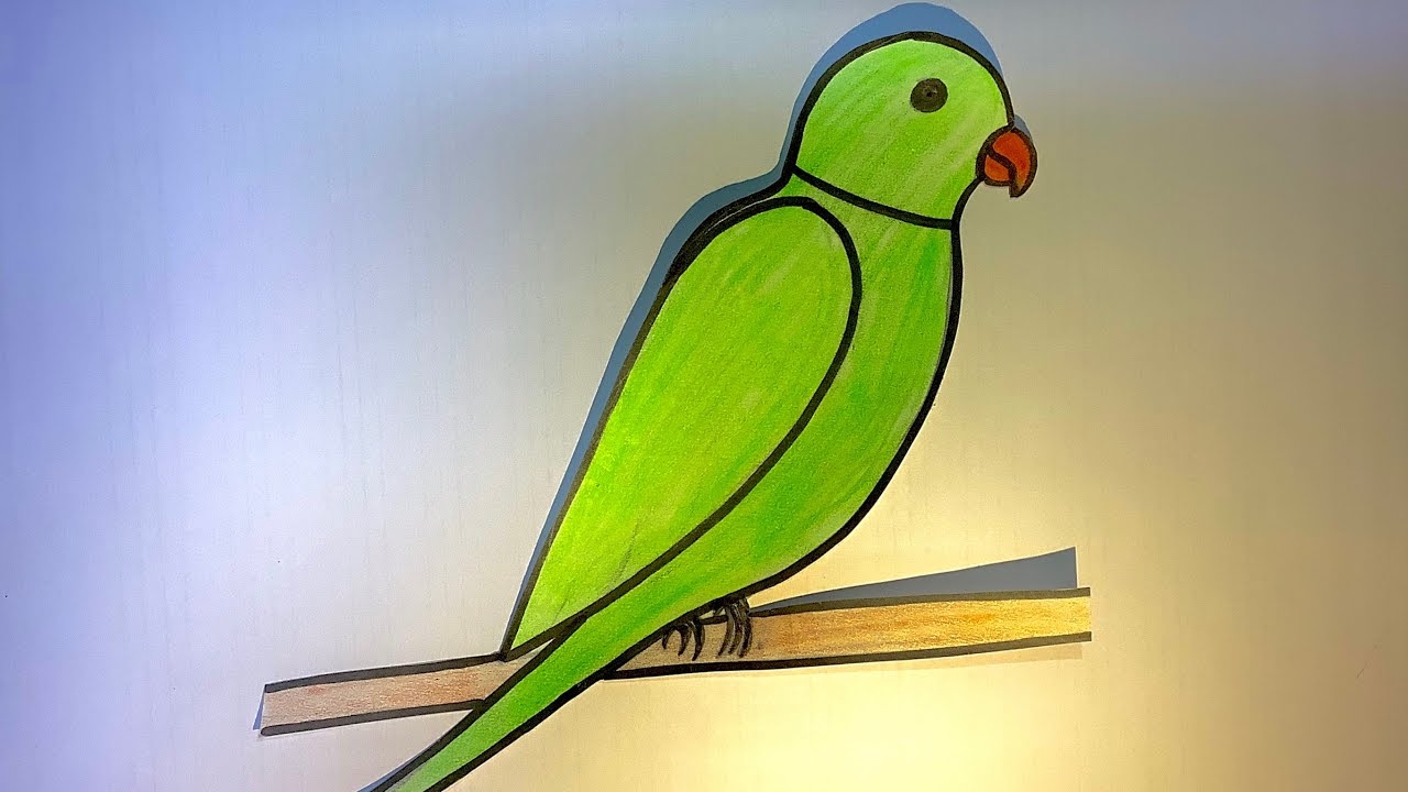 How to Easily Draw a Colorful Parrot: A Simple Guide for Beginners in 2025