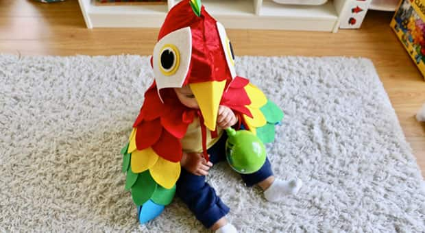 Effective Ways to Choose a Parrot Costume for 2025 Celebrations