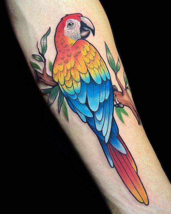 Parrot Tattoo Example 2