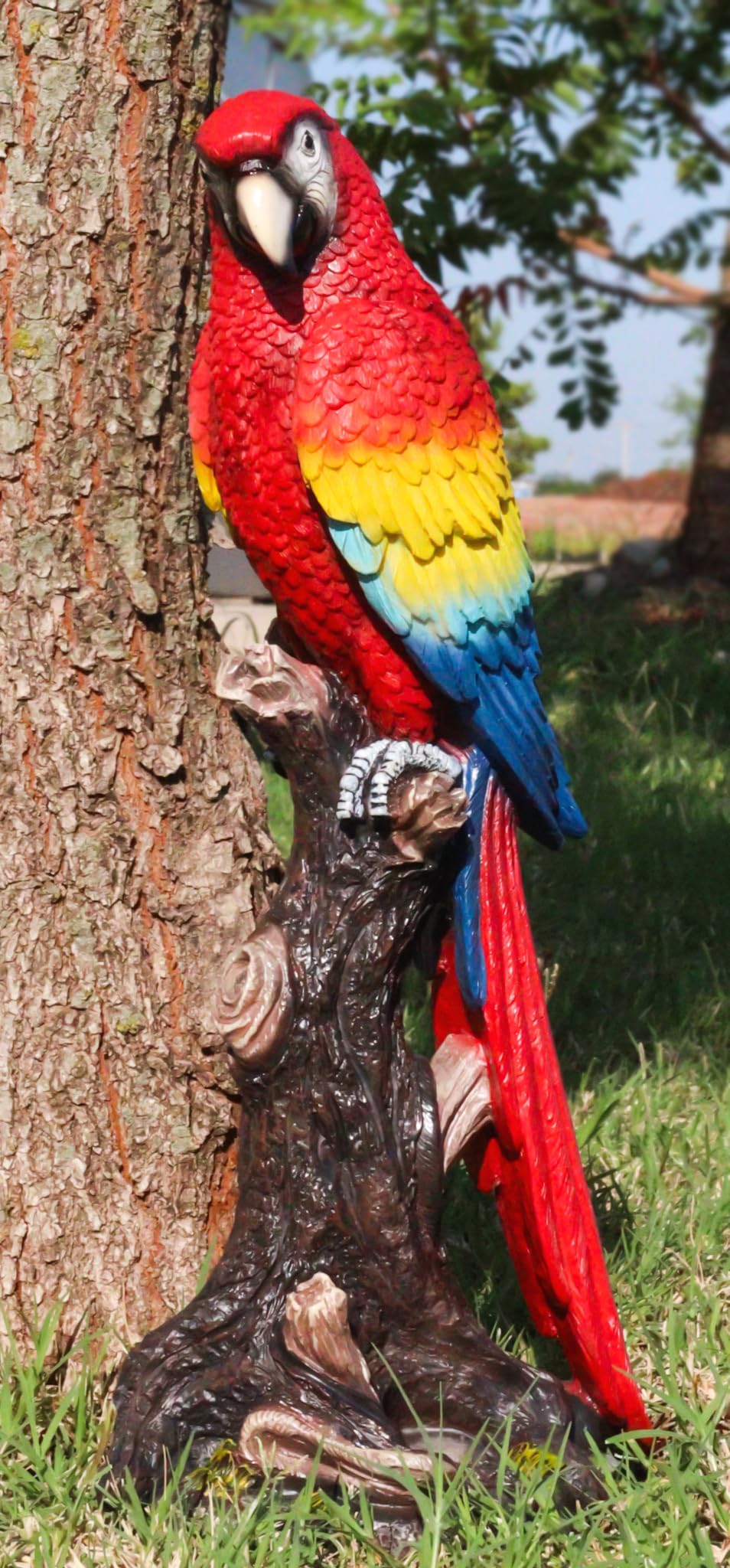 Smart Ways to Care for Your Macaw Parrot in 2025: Essential Tips for New Owners