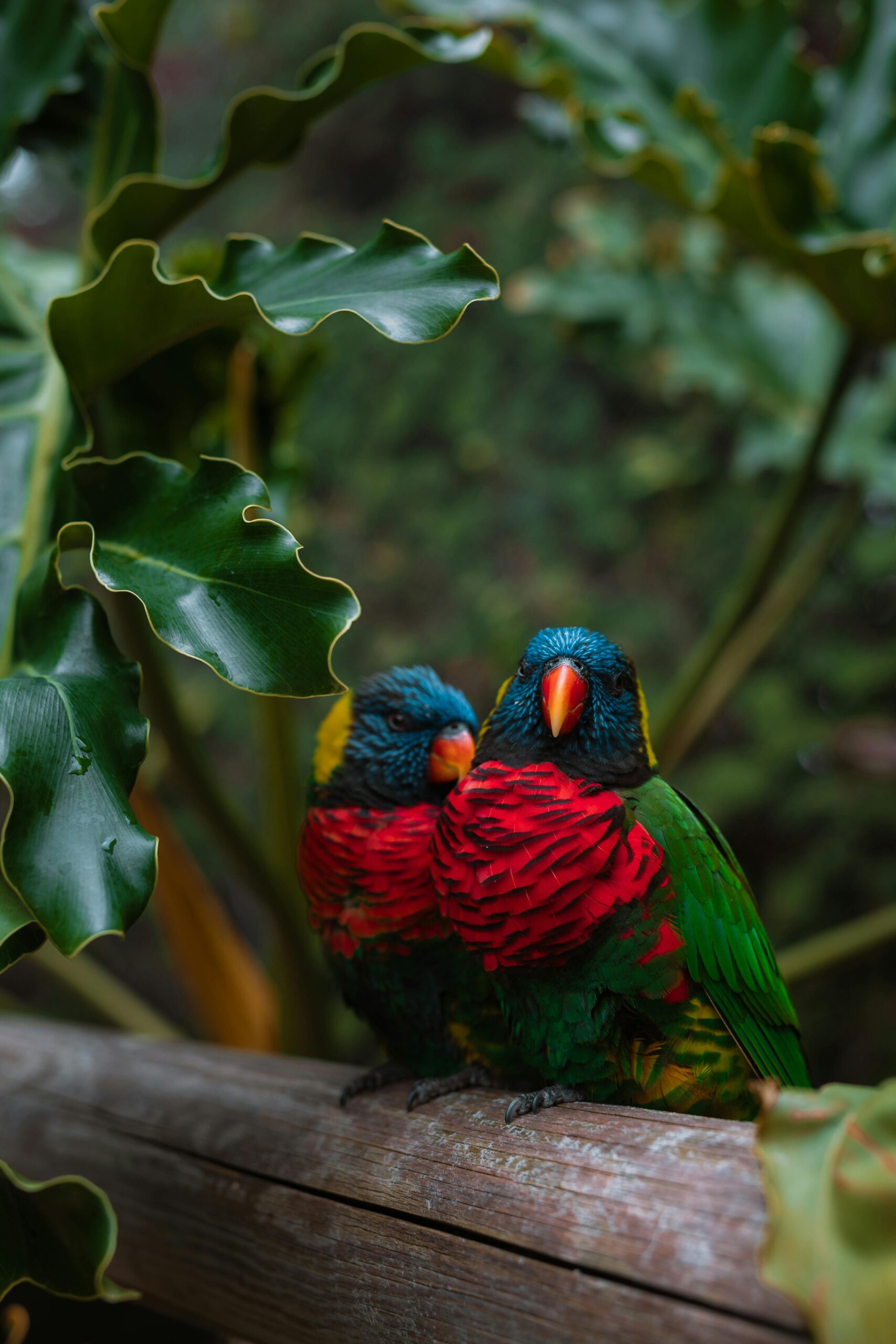 Effective Ways to Learn About Parrot Species in 2025: Discover Their Unique Traits