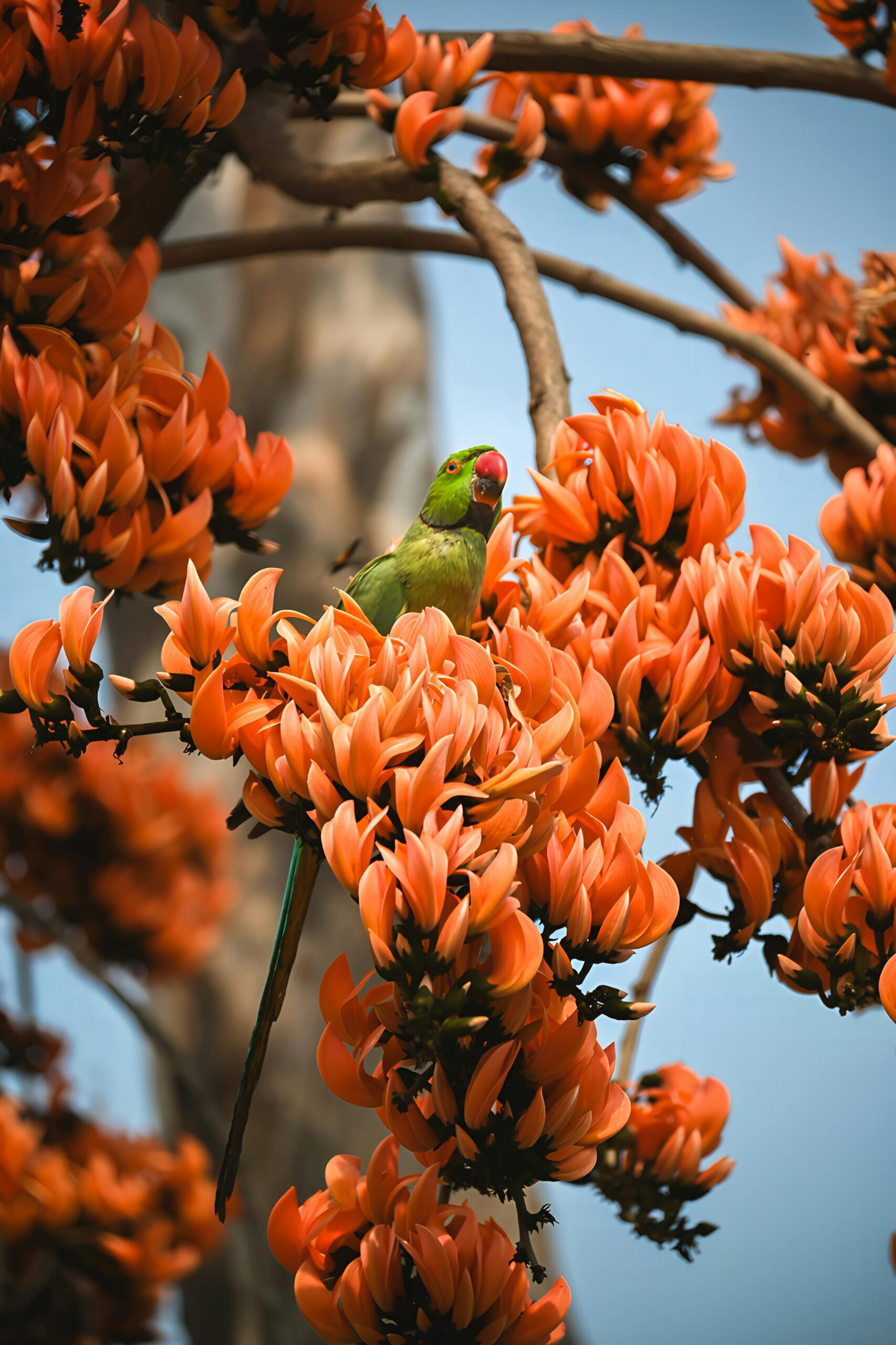 Effective Ways to Train a Lazy Parrot for Better Communication in 2025