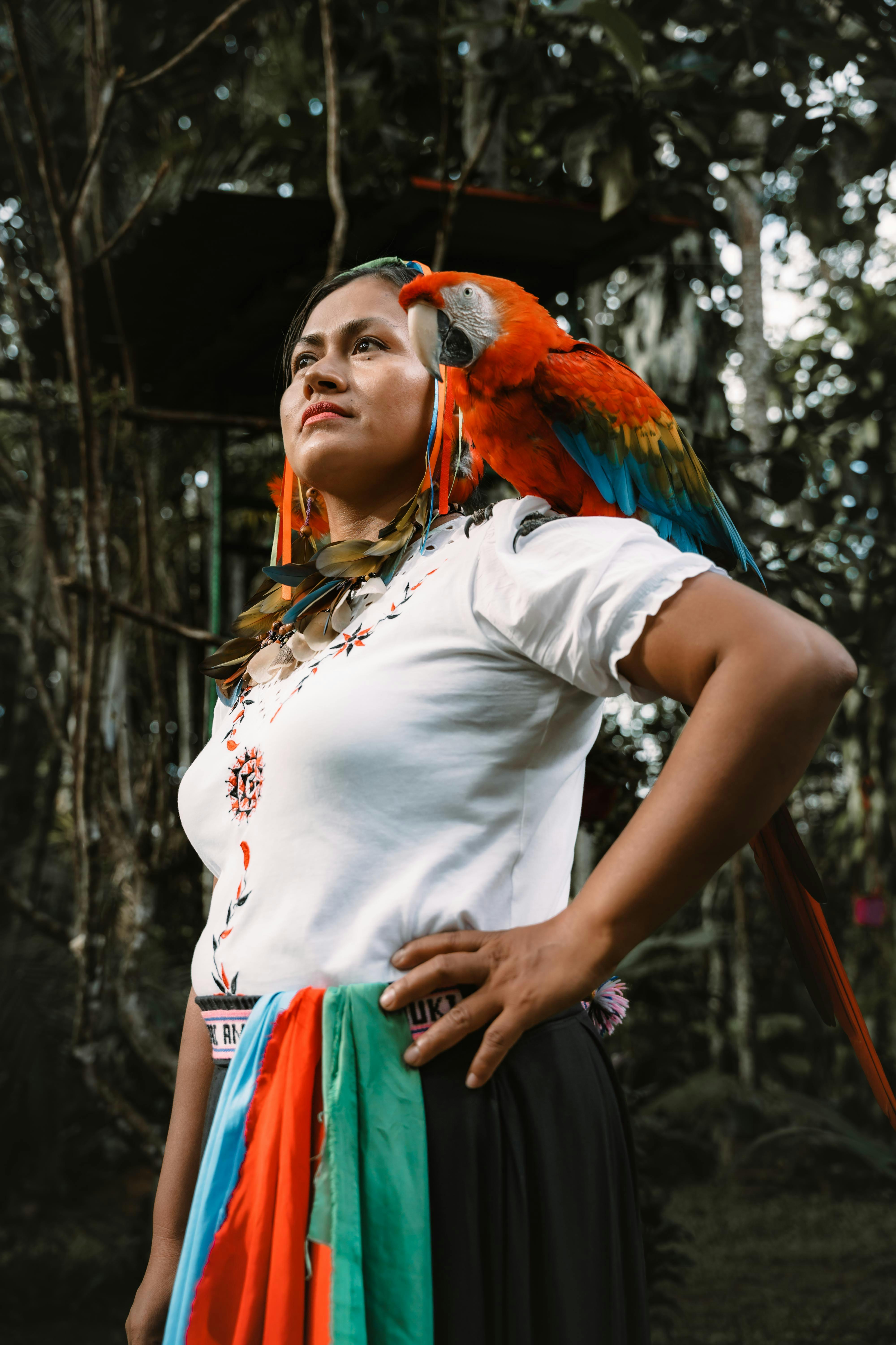 Colorful Amazon Parrot